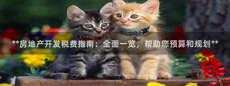 万向娱乐的联系方式是什么