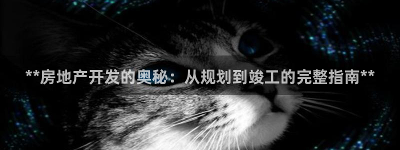 万向娱乐