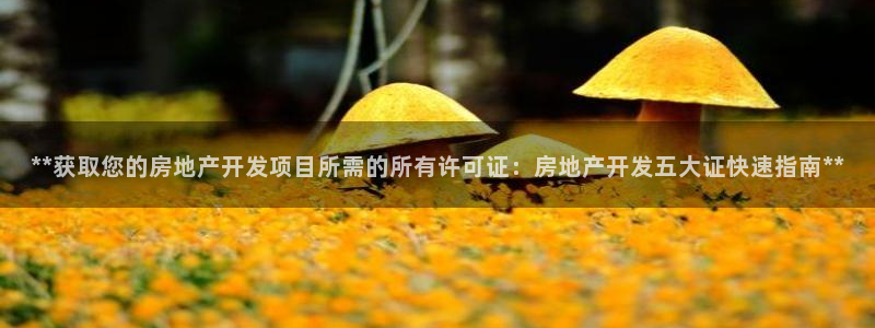 万向娱乐的联系方式有哪些