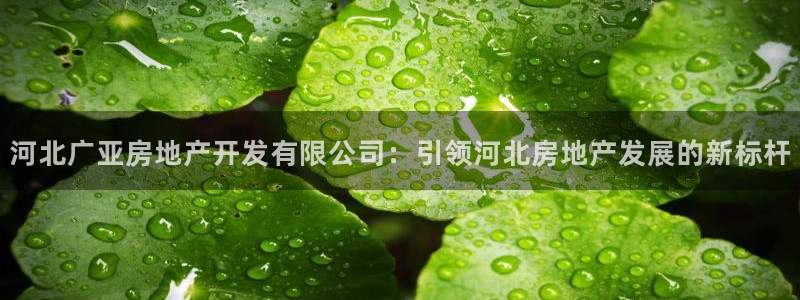 万向娱乐技术分享
