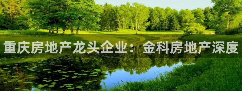万向娱乐总代