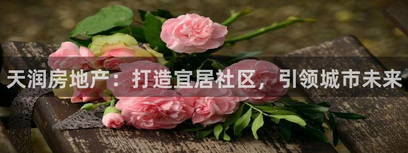 万向娱乐登陆官网入口