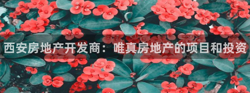 万向娱乐