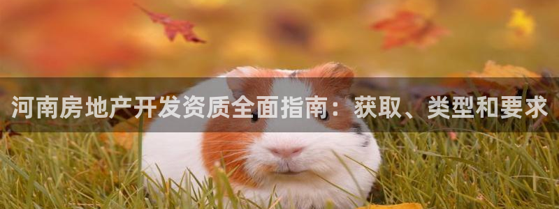 万向娱乐官网网址