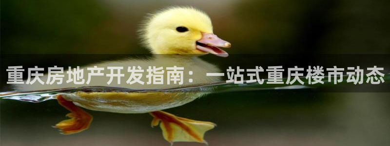 万向娱乐公司官网电话