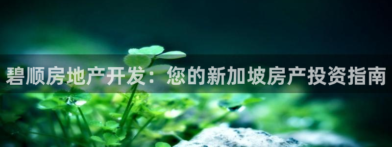 万向娱乐是野鸡台吗