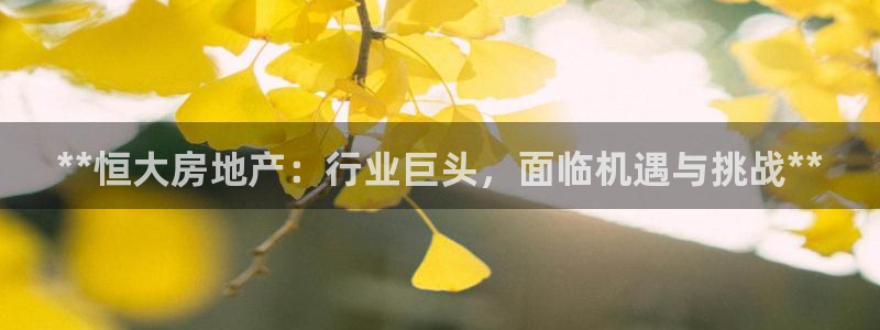 万向娱乐平台代理怎么做赚钱