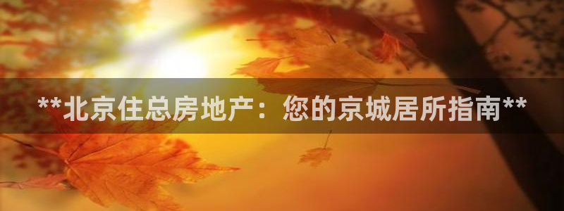 万向娱乐