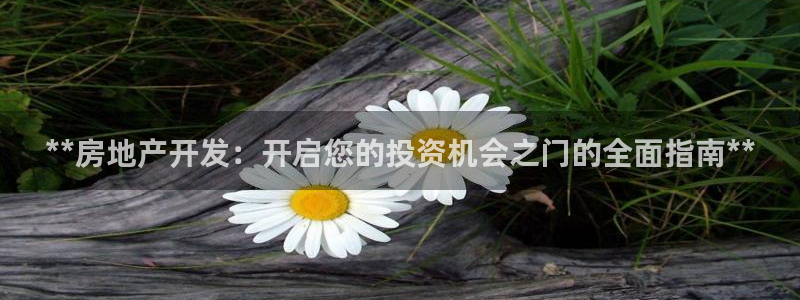 万向娱乐平台代理怎么样啊