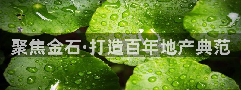 万向娱乐平台招商骗局