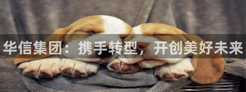 万向娱乐王者荣耀