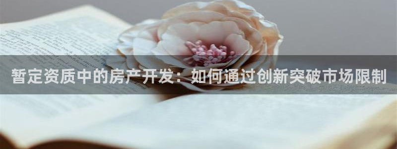 万向娱乐是野鸡台吗