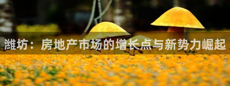 万向娱乐下载