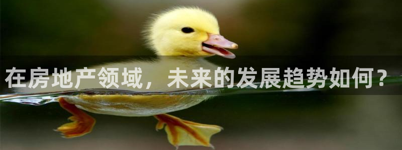 万向娱乐公司官网