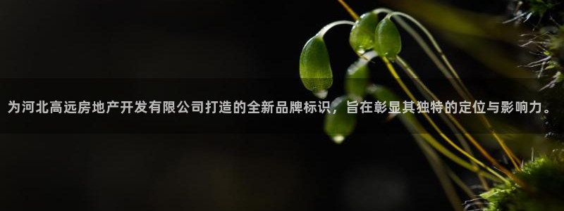 万向娱乐平台好不