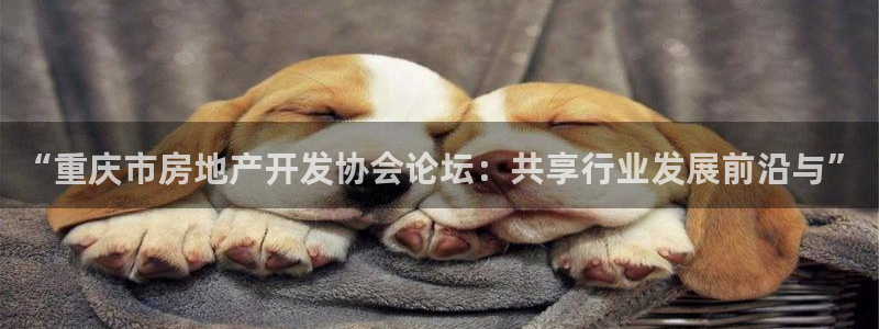 万向娱乐平台代理怎么做