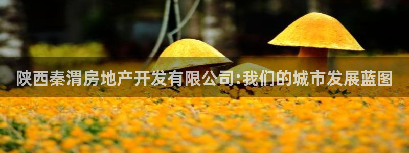 万向娱乐