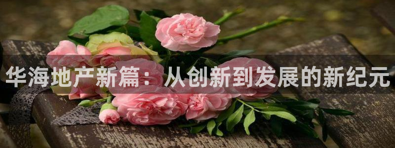 万向娱乐技术