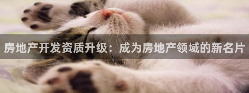 万向娱乐平台招商骗局
