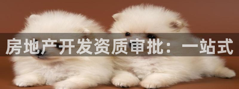 万象国际娱乐网址