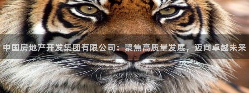 万向娱乐王者荣耀