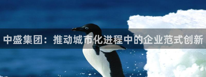 万向娱乐公司 585.34I 娱乐